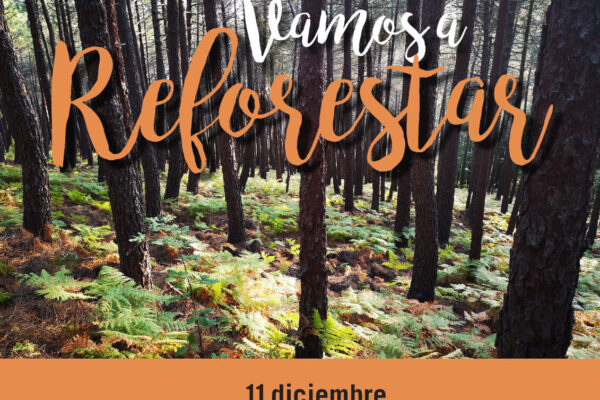La Escuela Encantada Reforesta